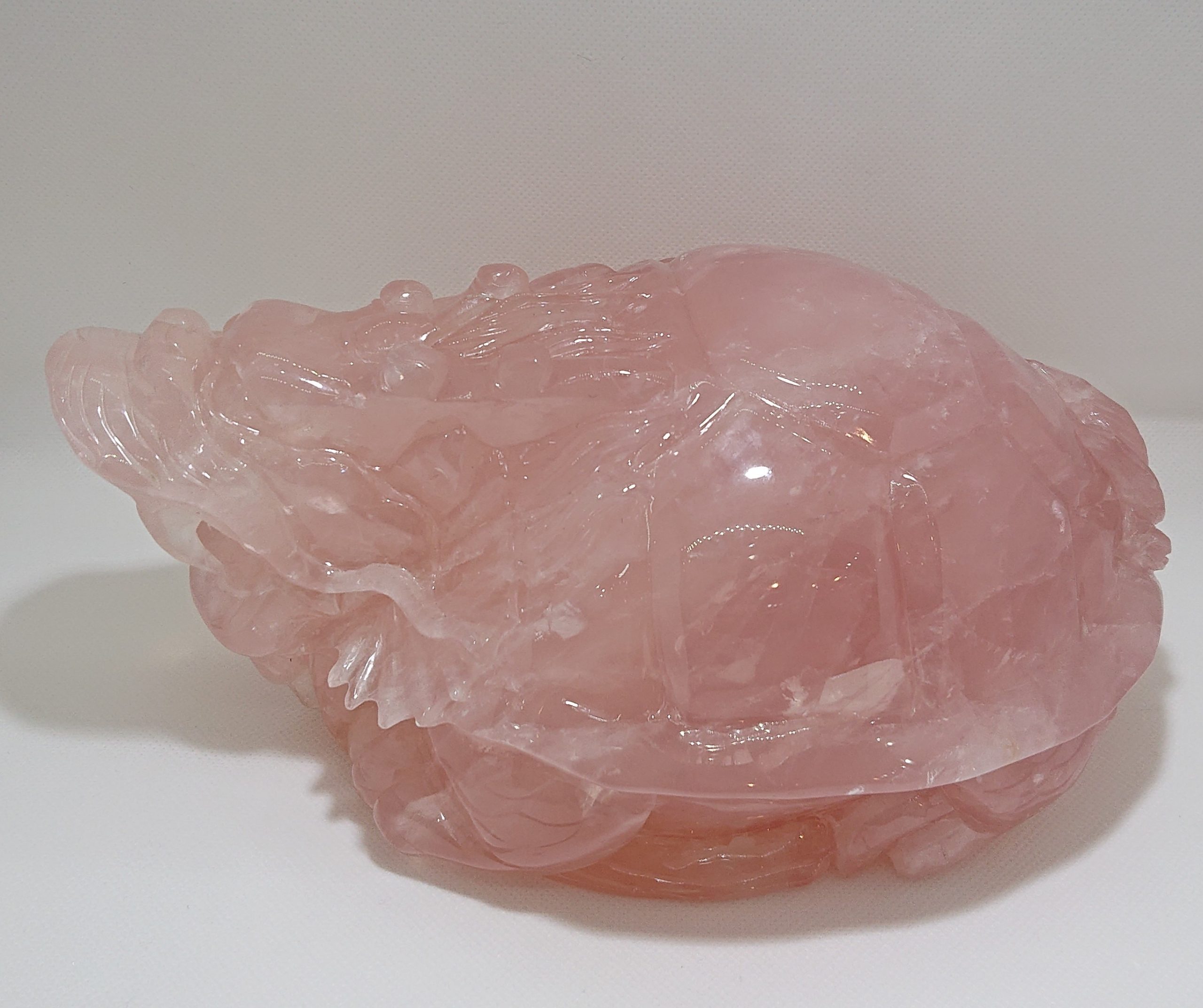 20191217_175004-scaled-1.jpg