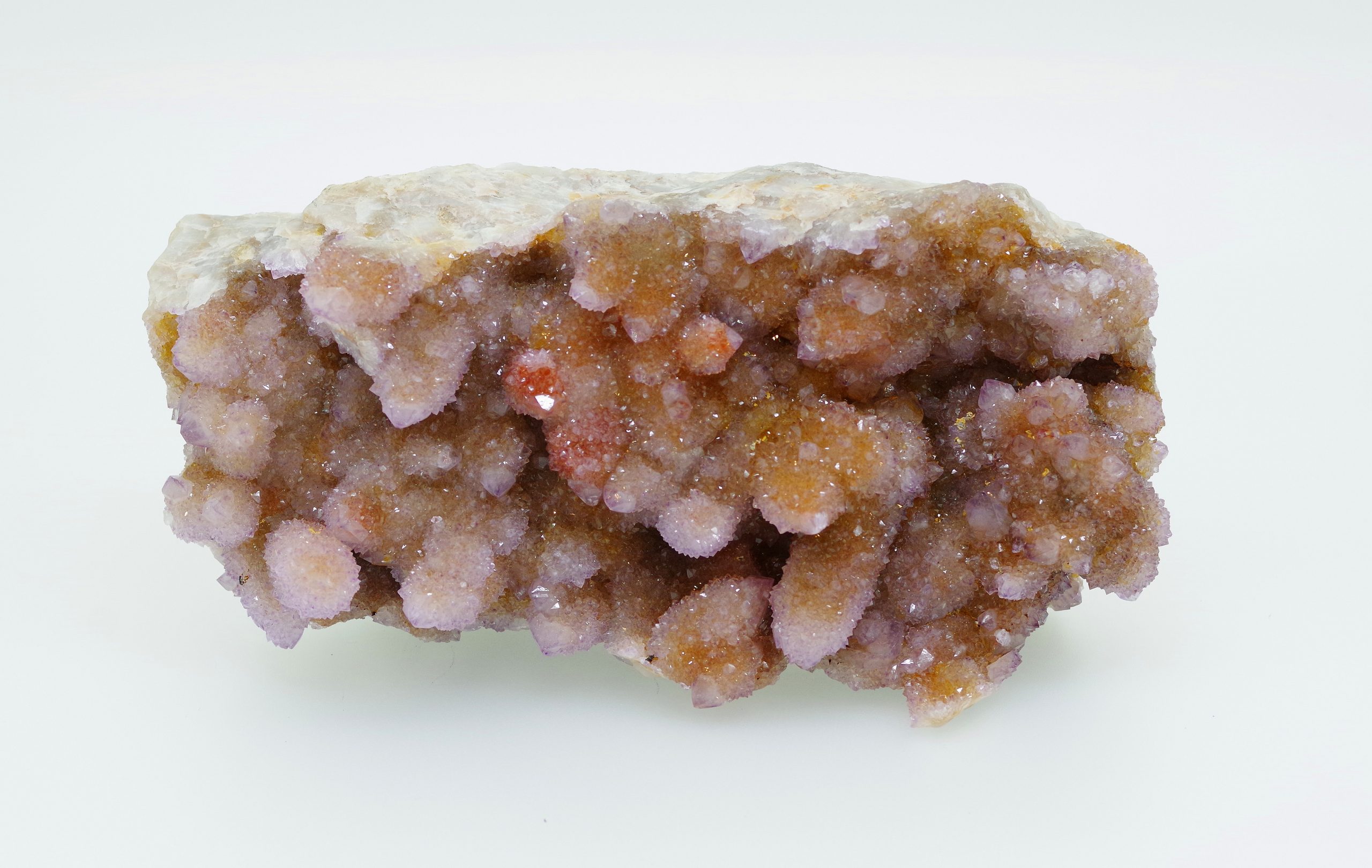 20200906_150545-scaled-1.jpg