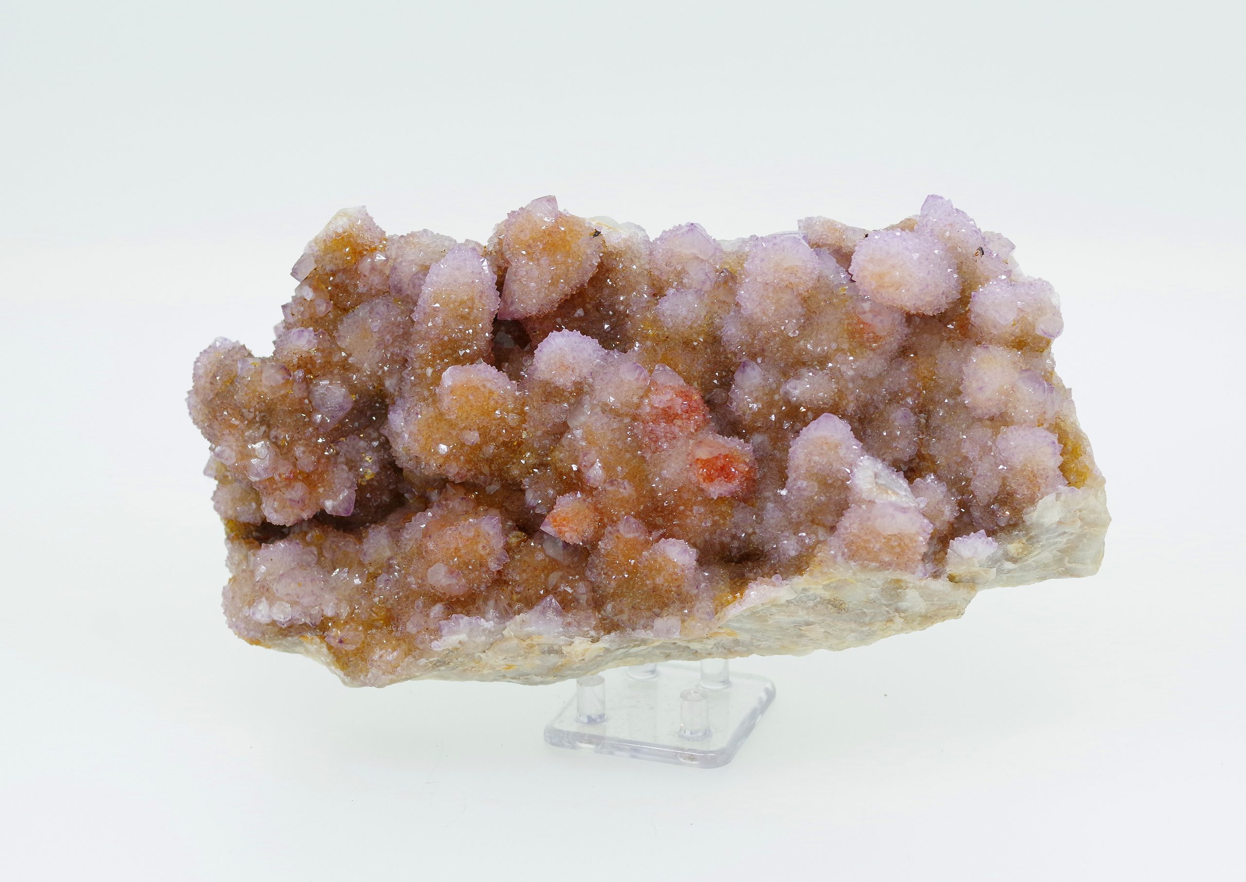 20200906_150623-scaled-1.jpg