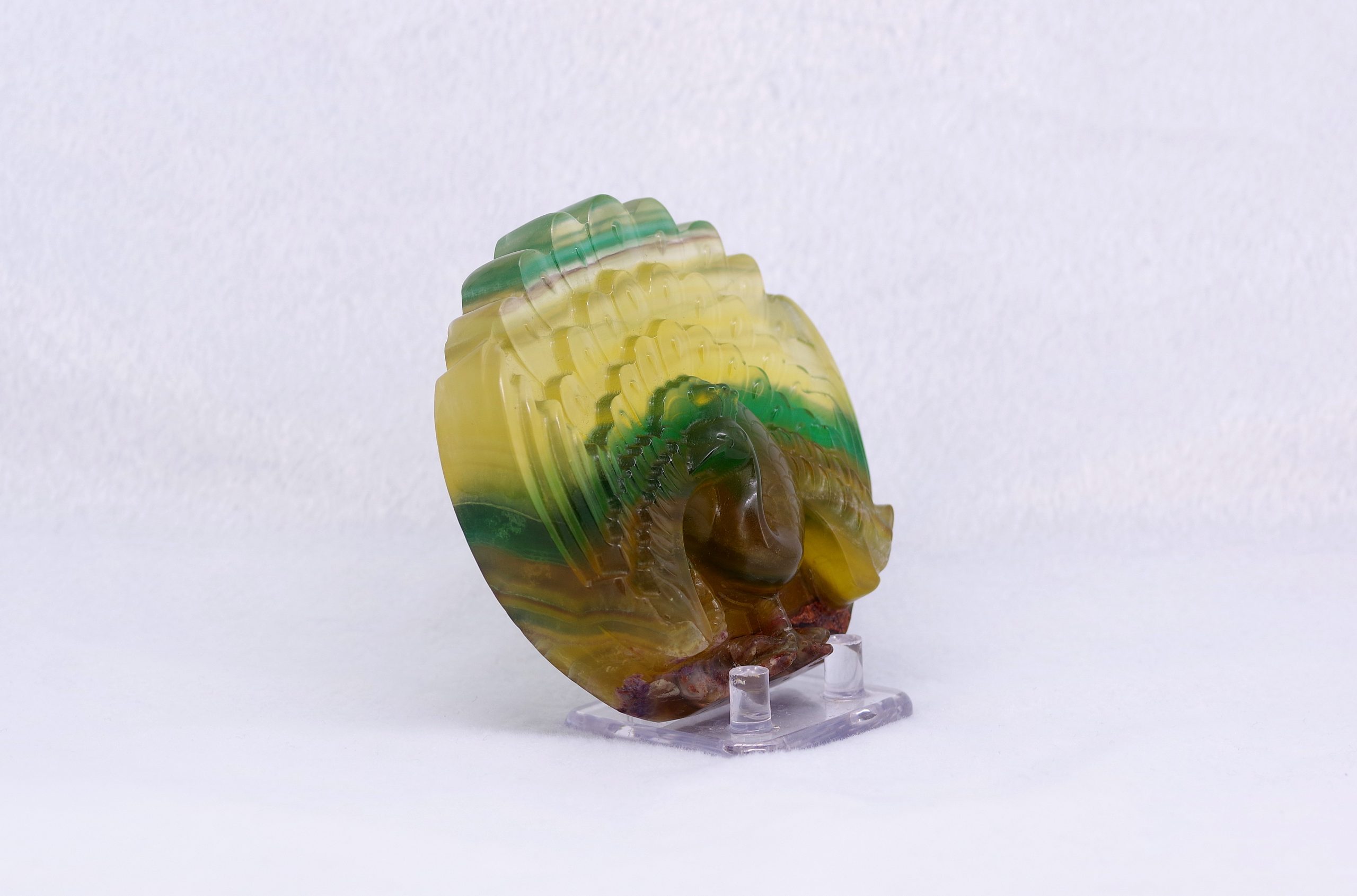 20201225_175251-scaled-1.jpg