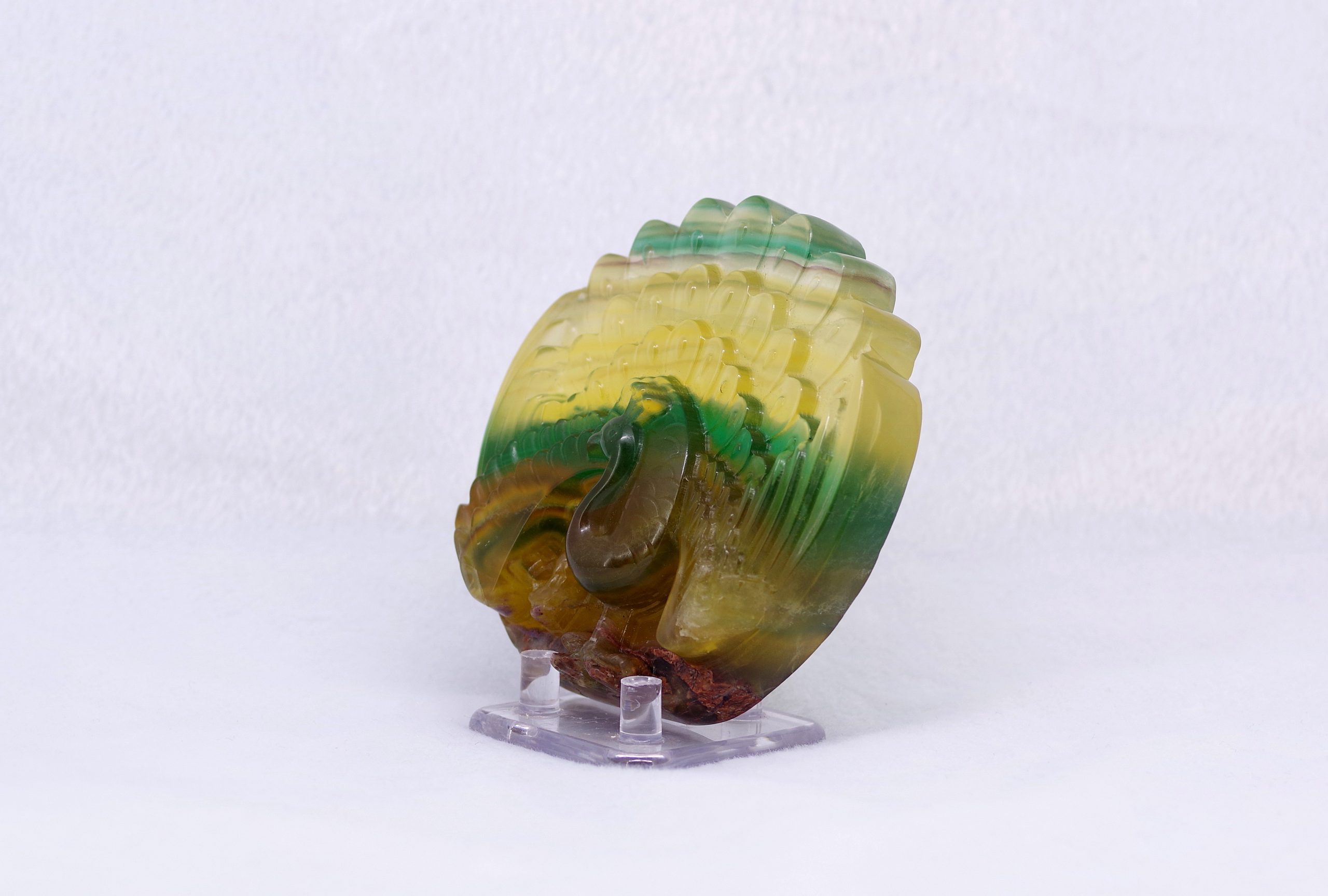 20201225_175324-scaled-1.jpg