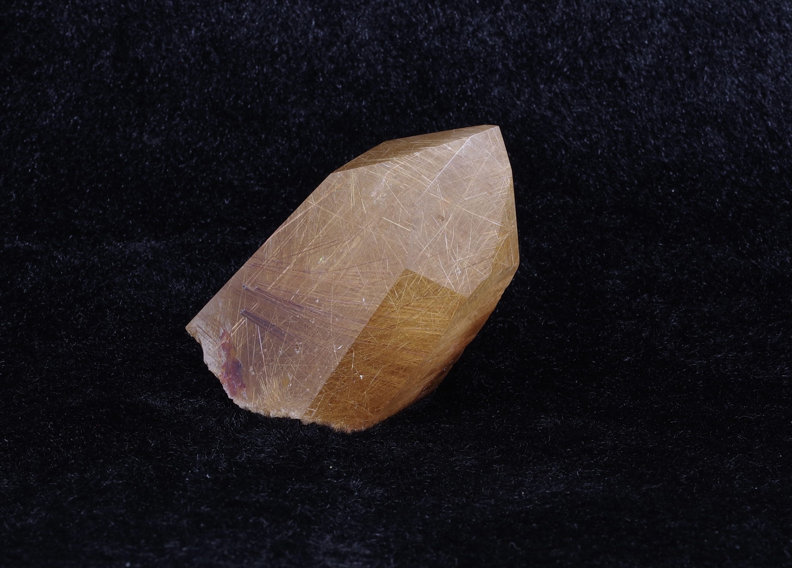 IMGP4593-scaled-1.jpg