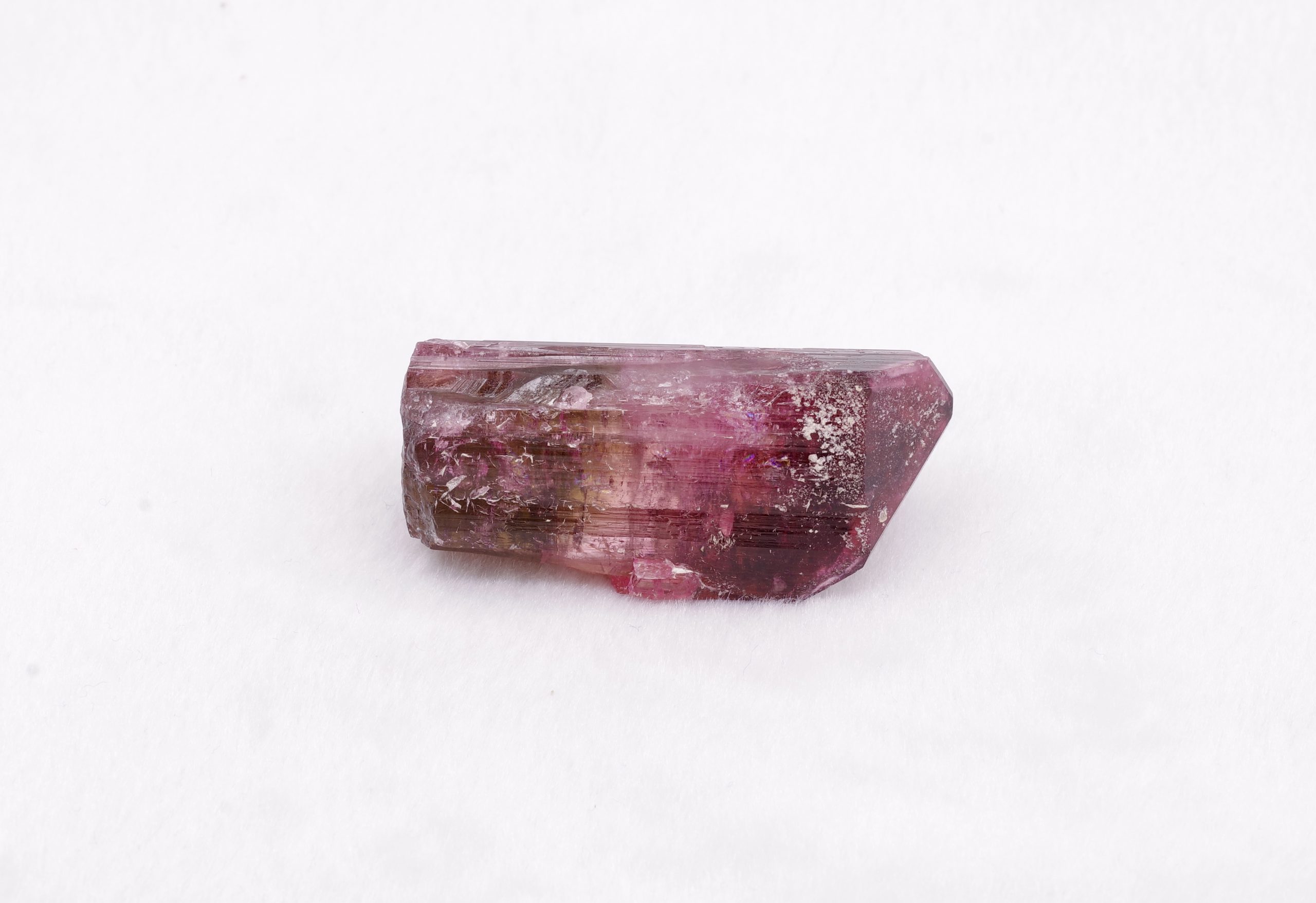 IMGP5466-scaled-1.jpg