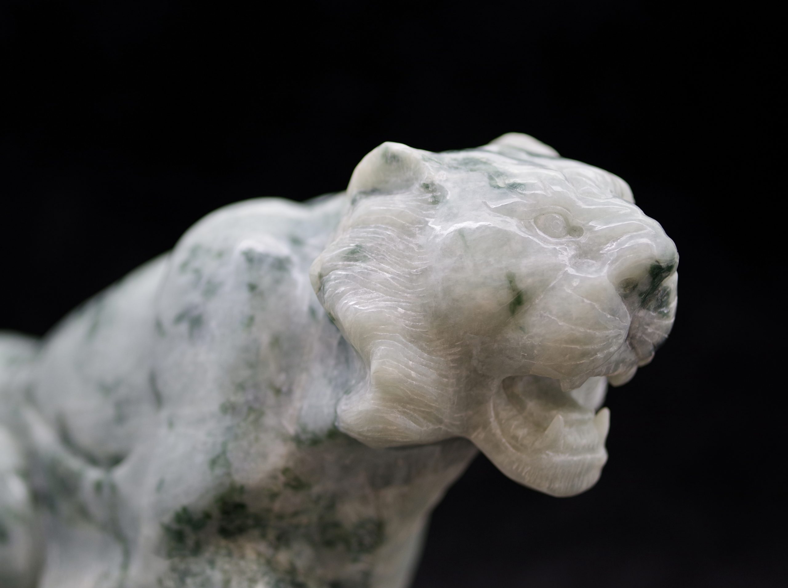 F2628DAA-654D-4C16-BB90-71282AB9590A_1_201_a